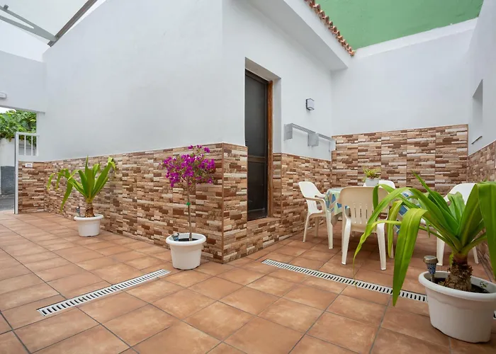 Abuelos 2 Icod 伊科德·德·洛斯·维诺斯